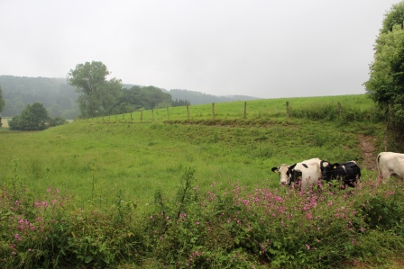 Sieklandschaft Werther